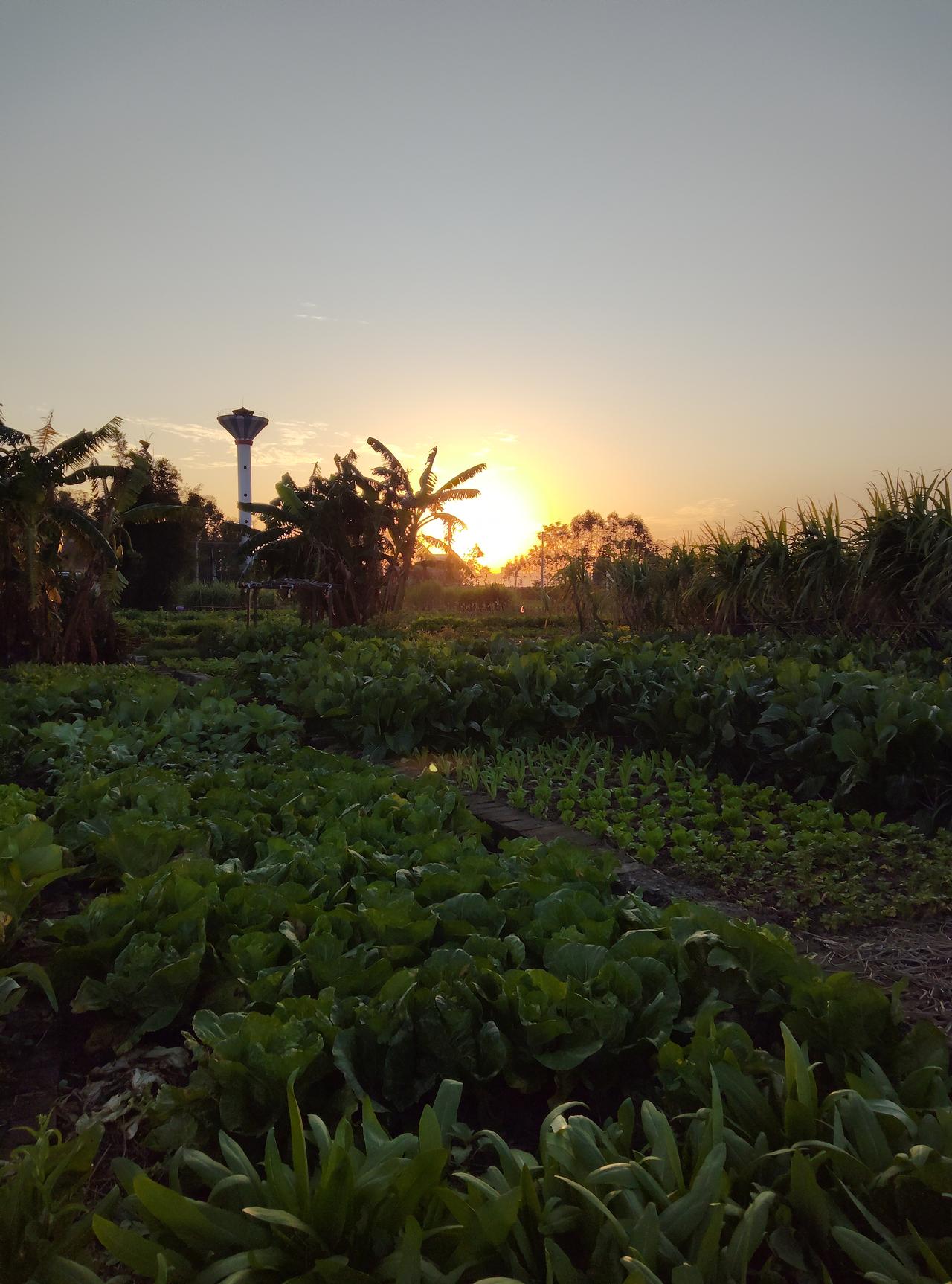 我跟多次因为一个片段追了整部剧。
就像之前刷视频看到一个片段，300斤肥婆为向渣