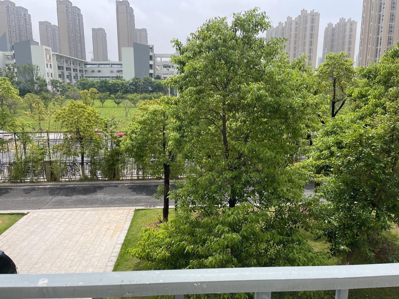 #一张图证明夏天来了#
