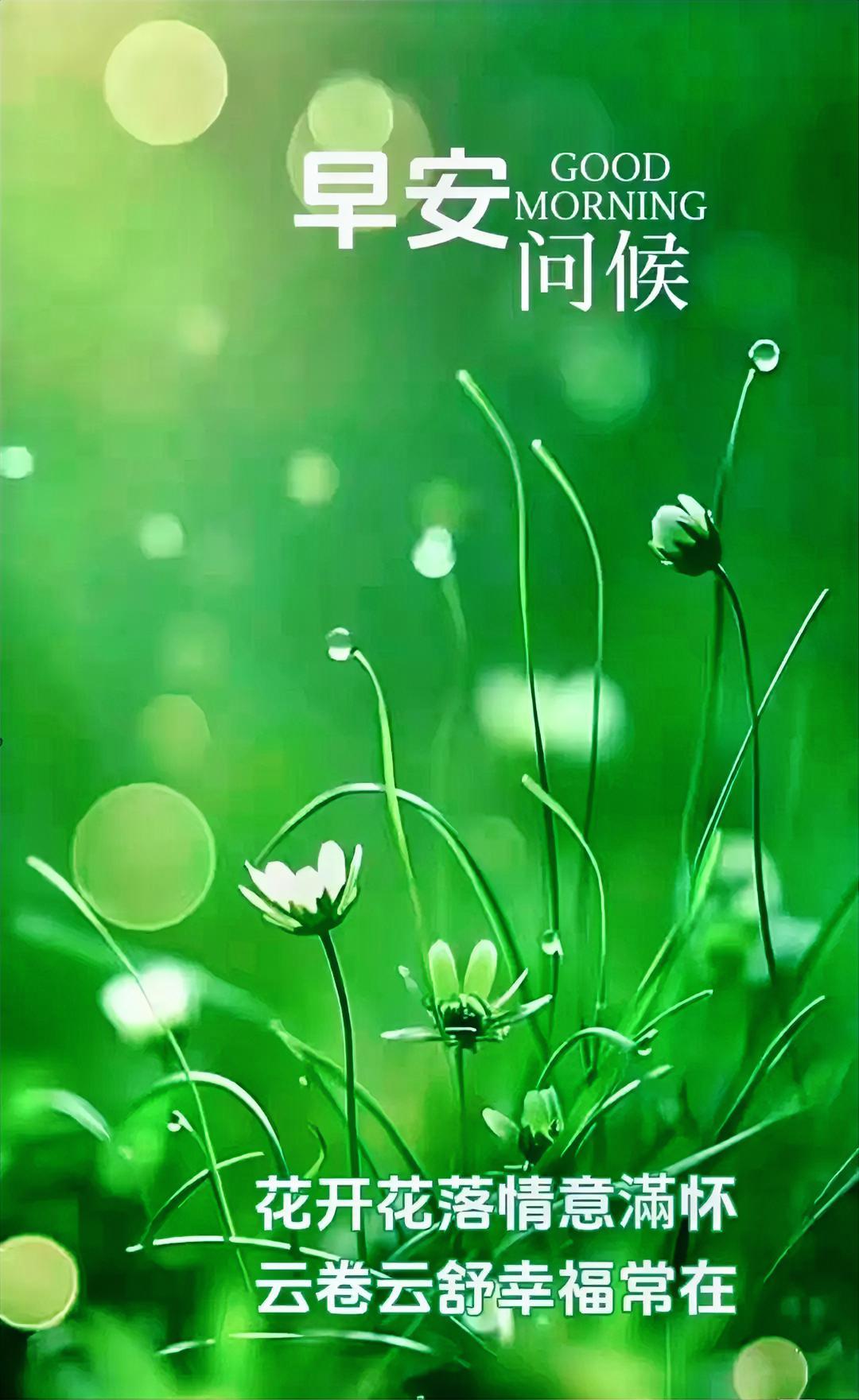 早安！晨光里的绿意太治愈啦，愿你心情像花儿一样绽放，幸福常伴左右。
记录美好的图
