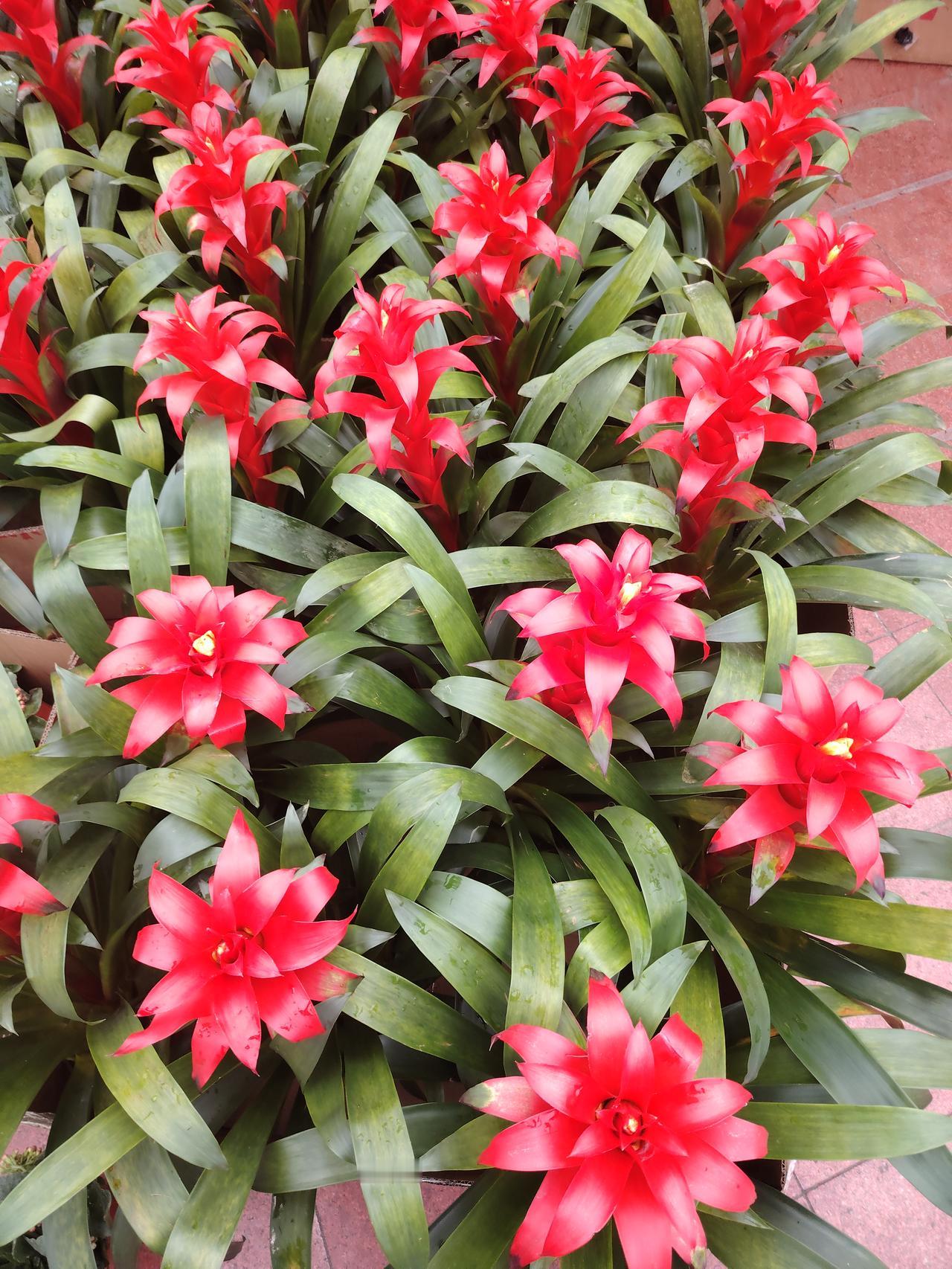 你身边还有原民办教师吗到农贸市场买菜，有时还会遇到在2000年因计划生育超生而被