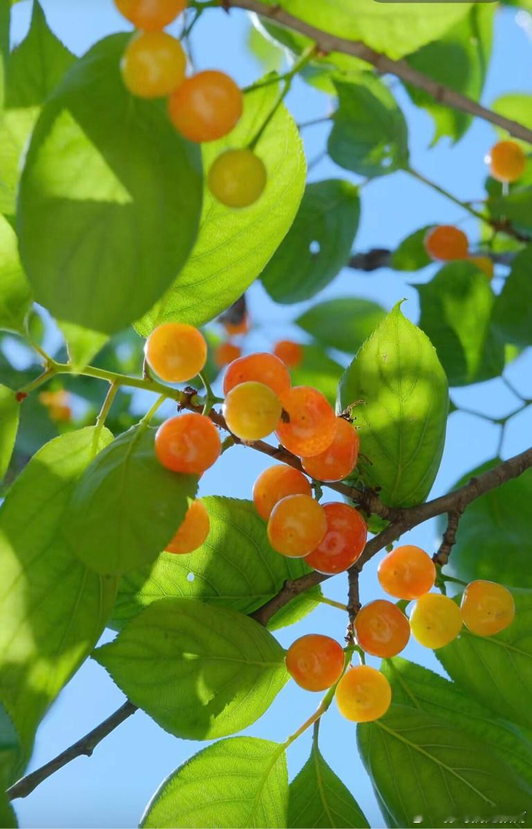 4月23日暗盘挂单数据曝光！这8只股票被资金疯抢，最高超29亿！刚刚拿到的最新数