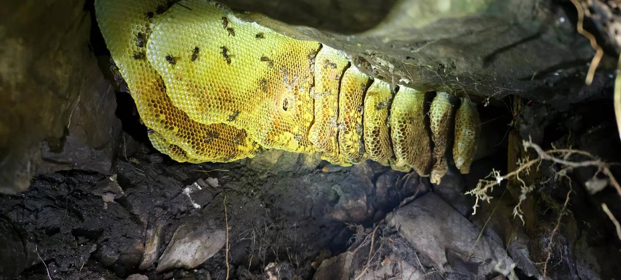 下了乡口高速，便一头扎进山里。风里立刻带了不一样的气味——青草、泥土，和远处炊烟