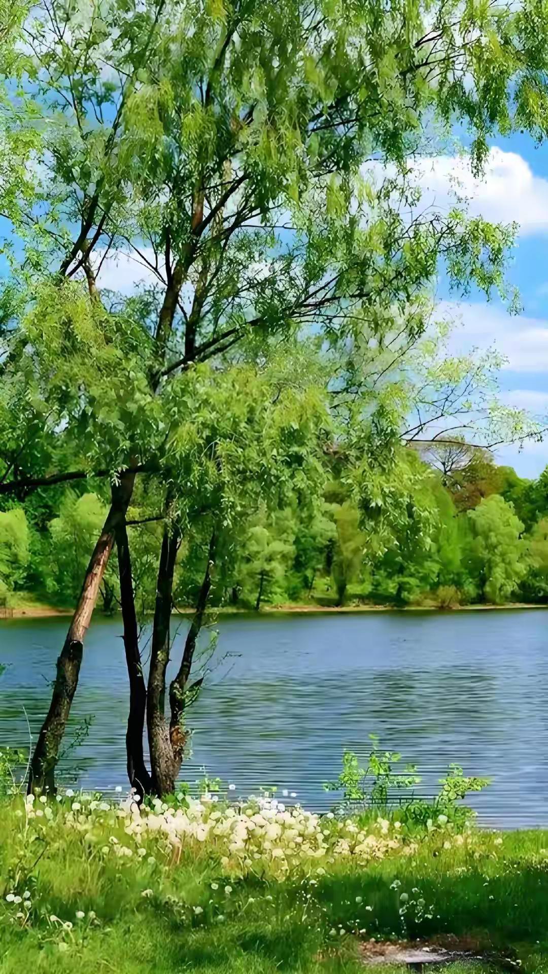 散文｜夏深蝉歇，光阴静好

夏浓如墨，终于到了该沉淀的时候。
骤然的雷雨，像是一