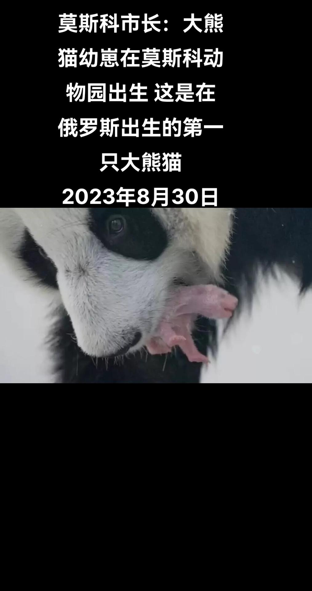 俄罗斯卫星通讯社莫斯科8月30日电 莫斯科市长索比亚宁在自己的“电报”频道表示，