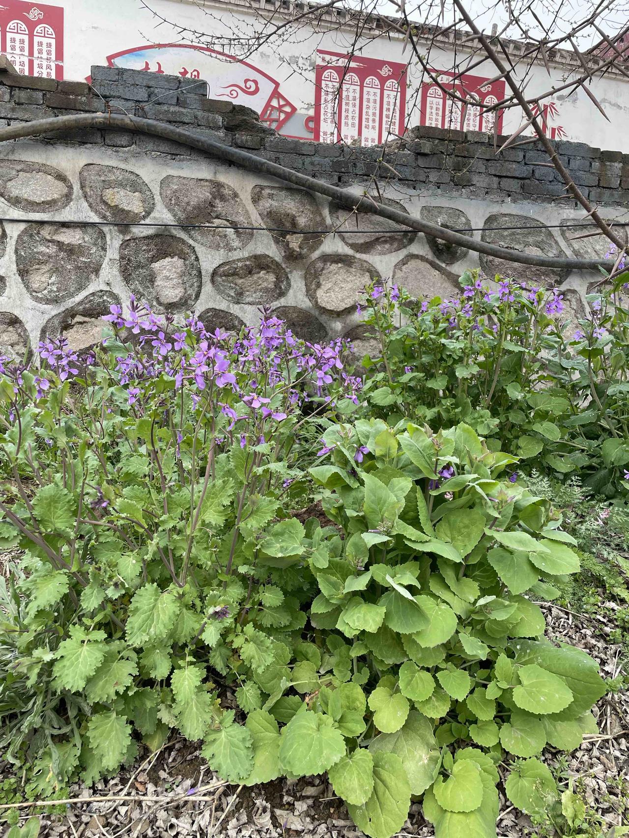 请用一句话概括一下，什么是幸福幸福就是内心安静，“此心安处是吾乡”，心安能守静，