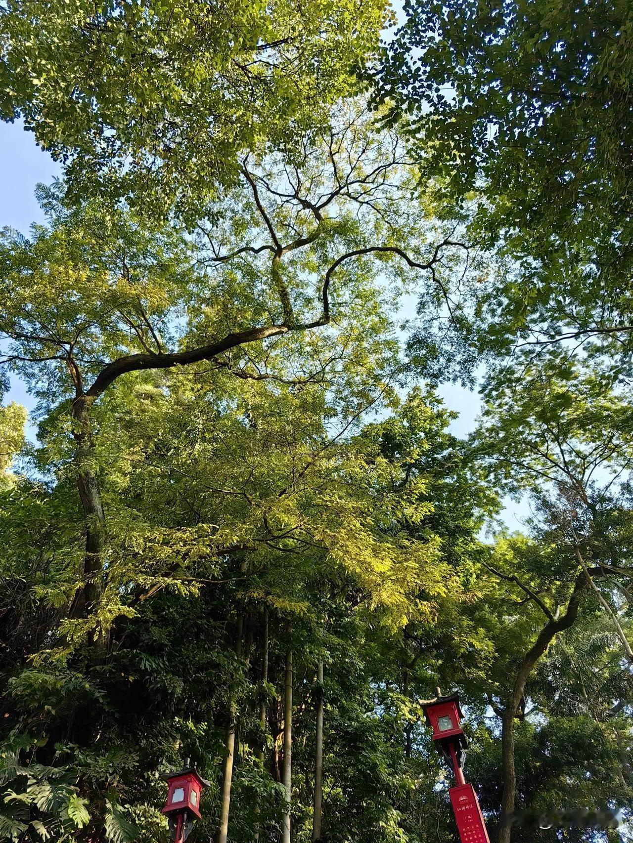 冬日生活打卡季