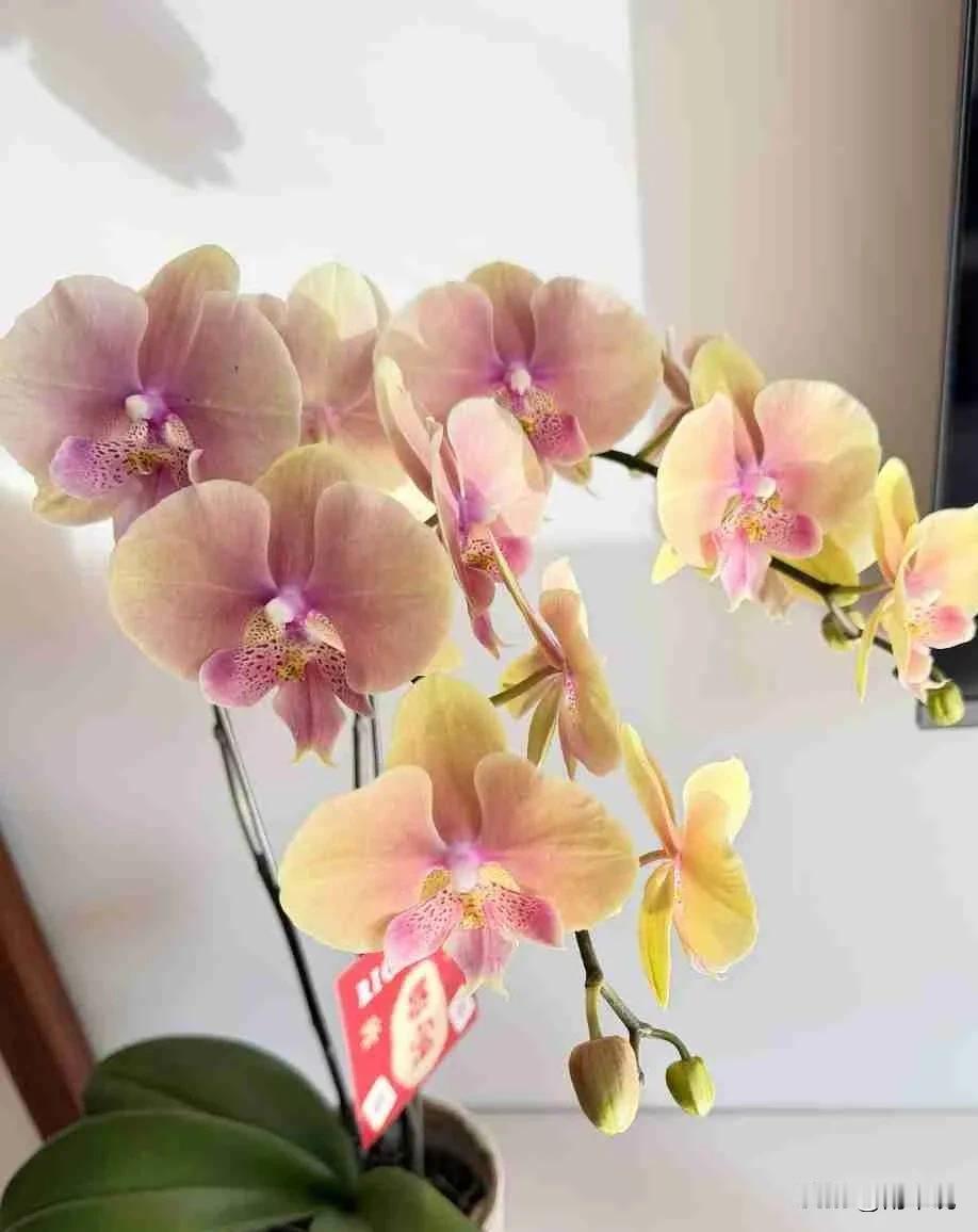 我的今日状态：😁轻松愉快
我这里的天气：☀️晴天