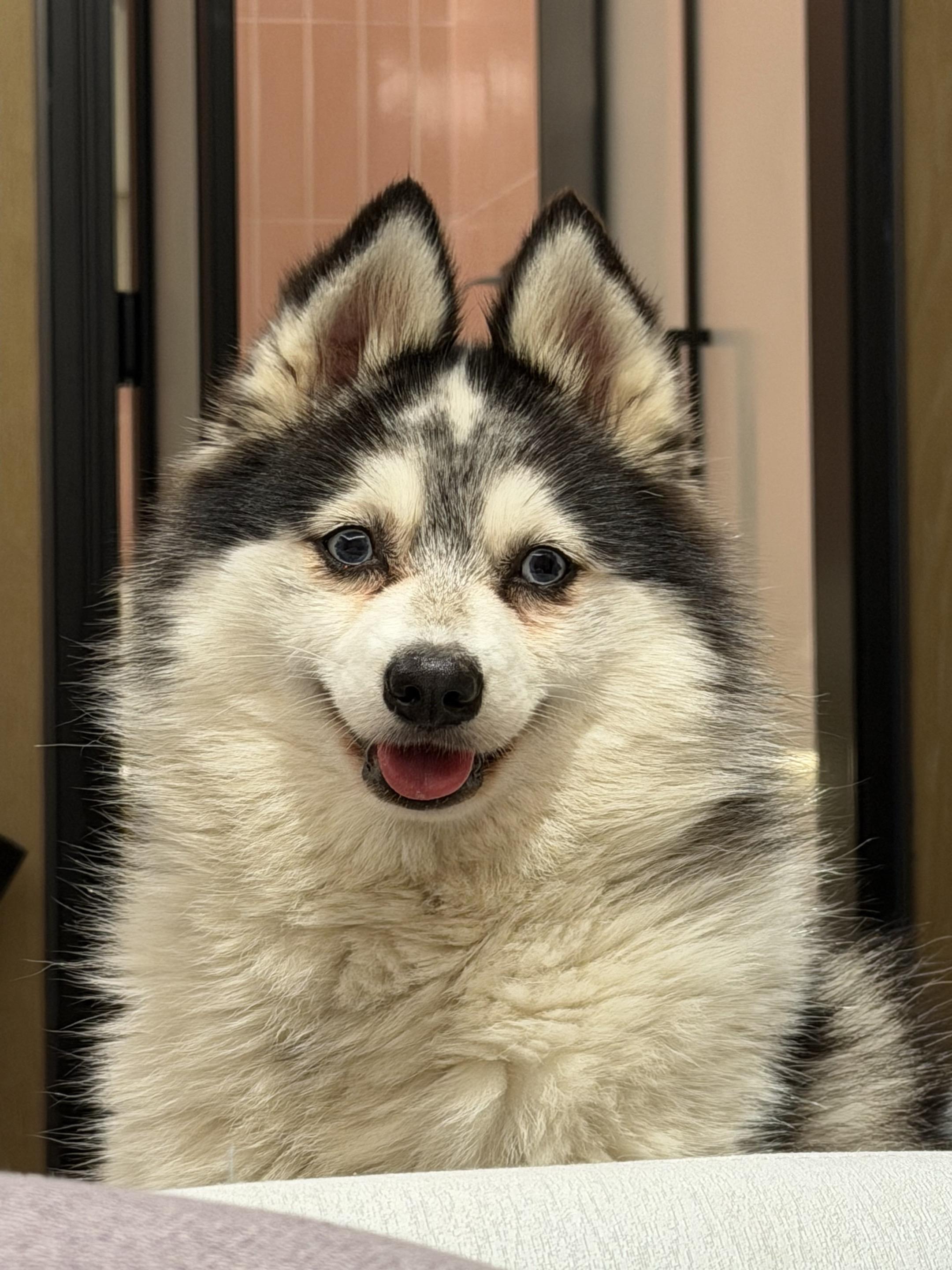 电瓶cei合集原图直出！