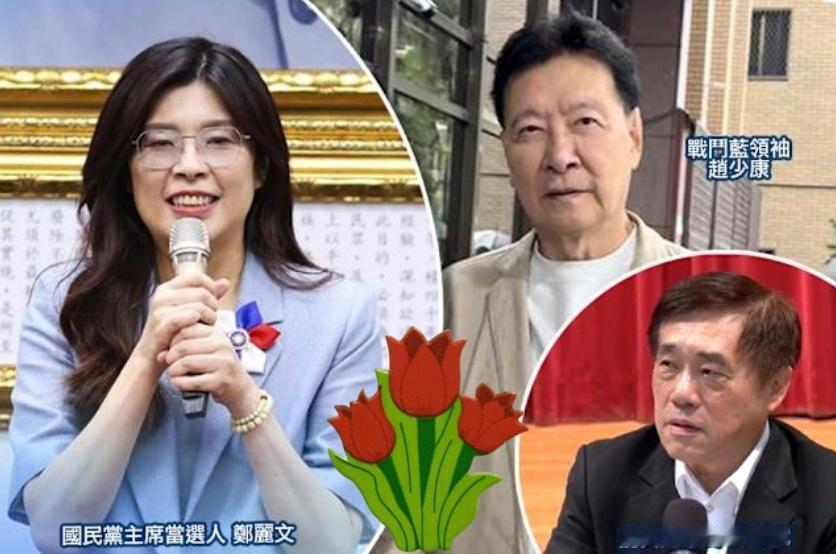 清除国民党内“亲中”力量？赵少康恐怕怎么也没想到，郑丽文会如此硬刚，直接向他掀桌