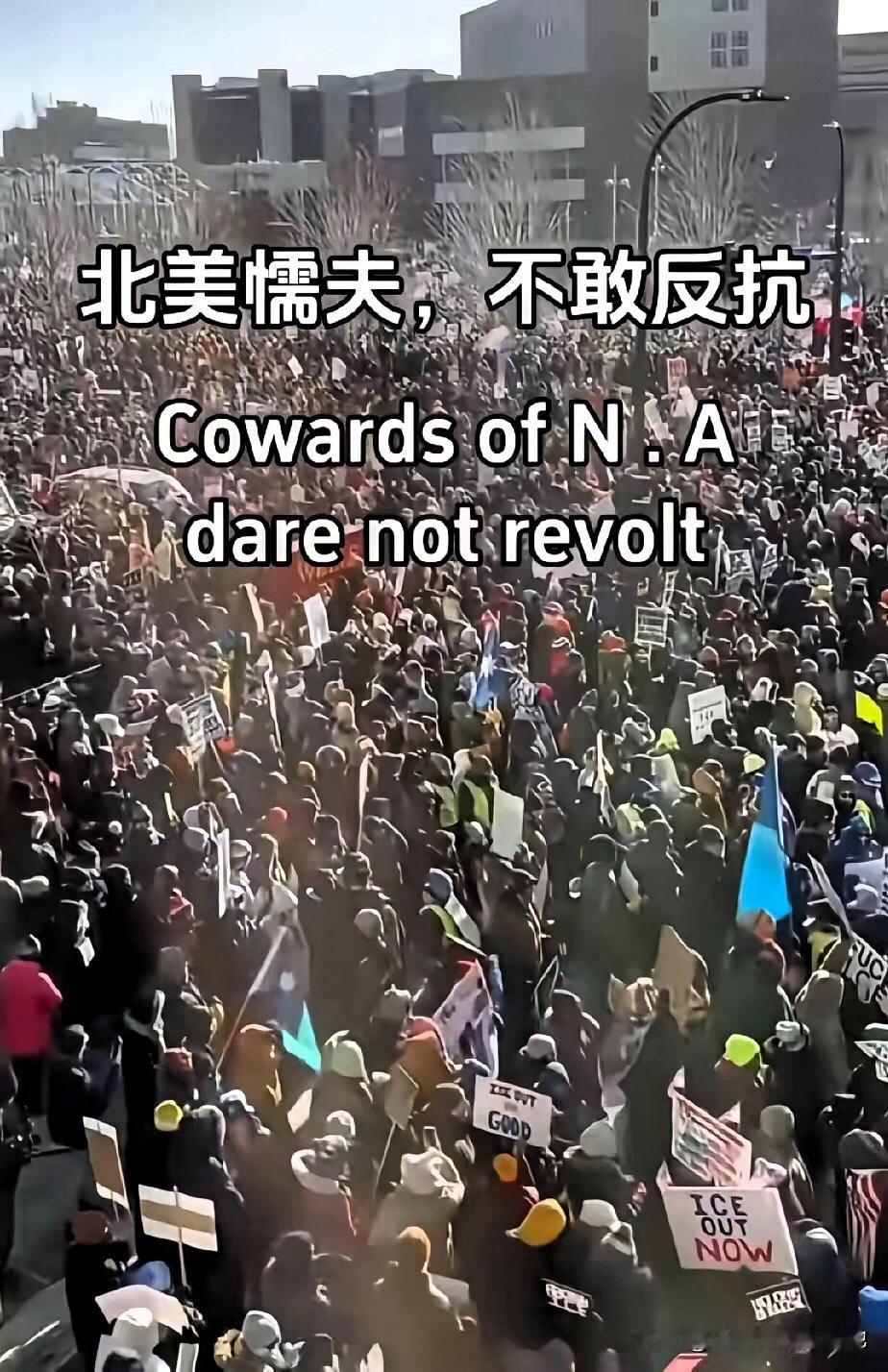 北美懦夫的怂，刻在美式所谓的自由里！
嘴上喊着持枪护权的美国人
骨子里的怂藏都藏