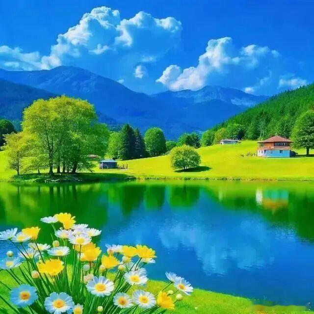 花期渐远，春意仍在，暮春的风景，自有一番清雅～ 