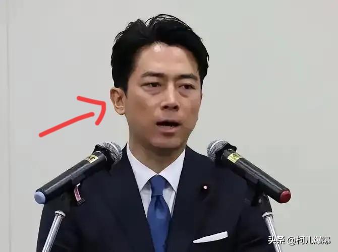 日本公开表态拥护南海仲裁十周年联合声明，按照这份裁决的判定逻辑，太平岛被划定为礁