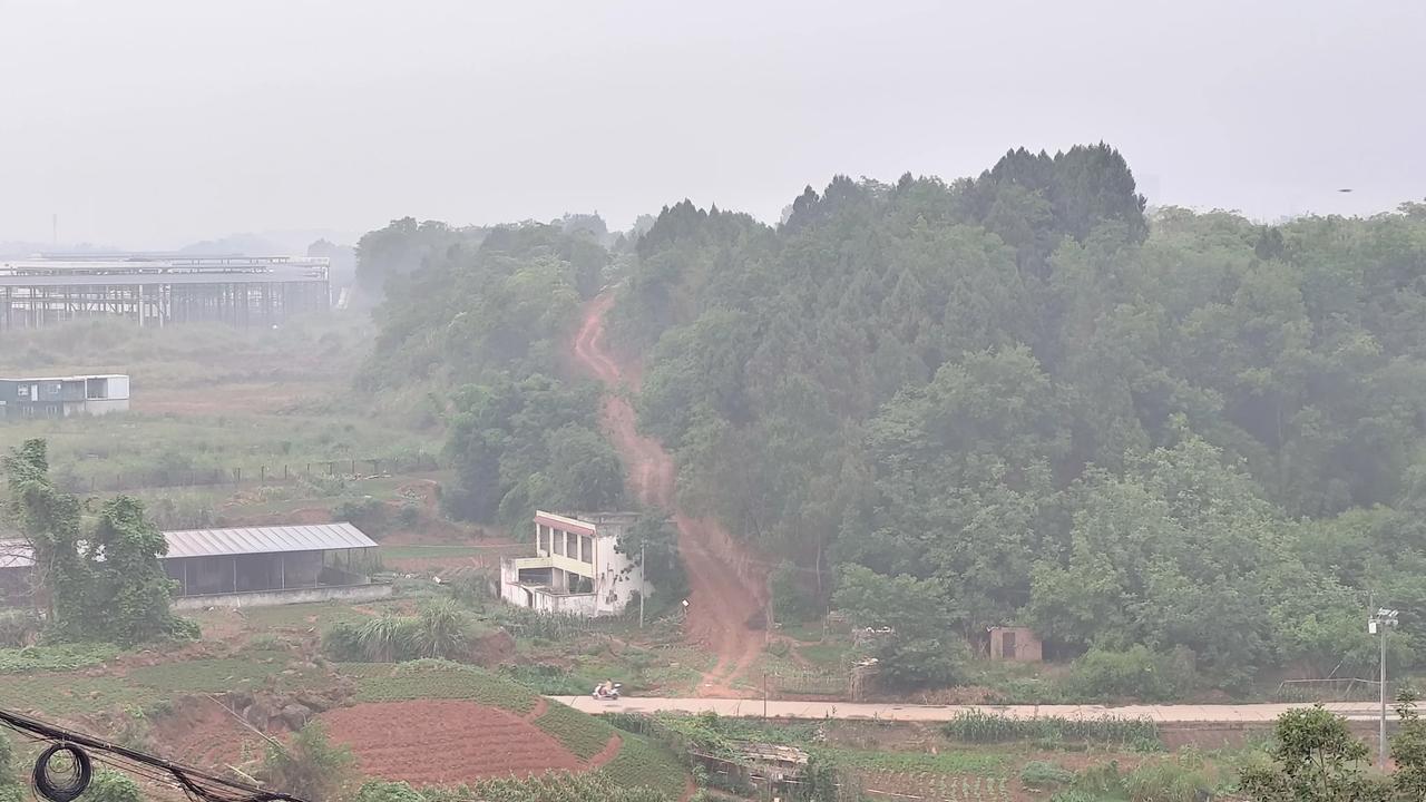 记录我的2026野外拾趣，田间地头走一走看看风景！每日一图随手拍