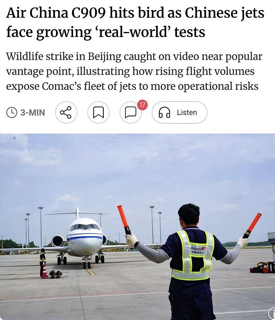 6月10日，中国国际航空一架C909支线客机在降落北京首都国际机场时遭遇鸟击，机