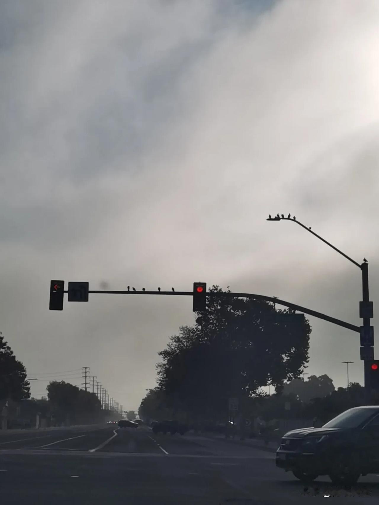 【迷图】
“摄像头”上班了……