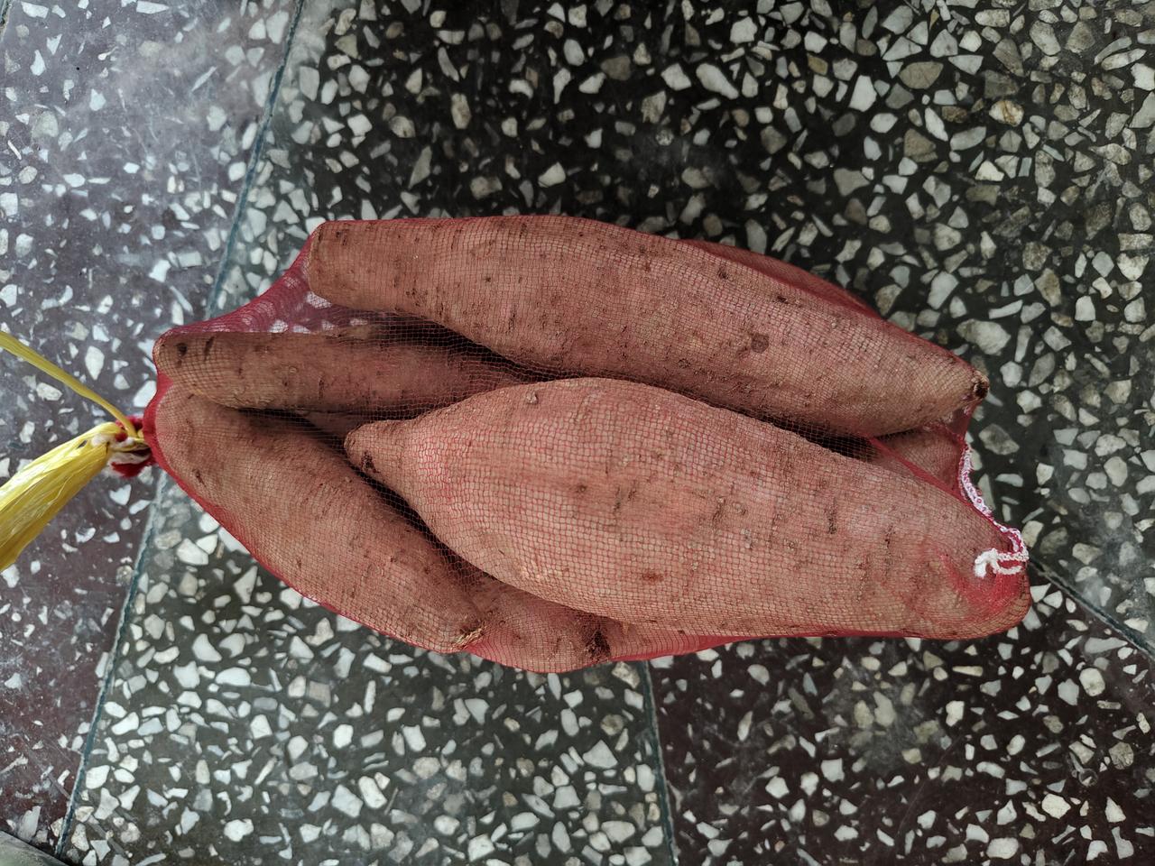去年的红薯🍠，5元4斤（也就是一袋），是村里人育苗剩下的红薯。我买了一袋，拿回