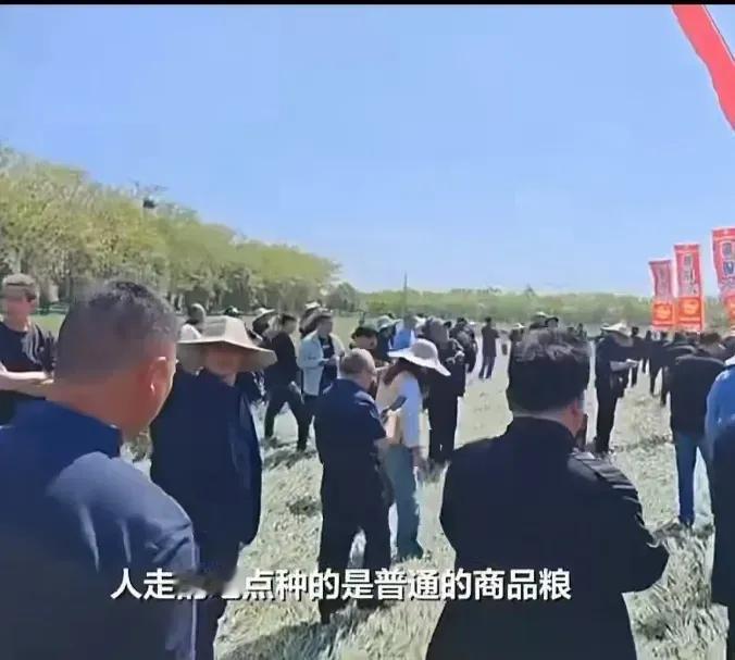 安徽一家种子公司在麦田举办观摩会，将大片小麦踩踏，引发舆论震怒。更可笑的是，公司