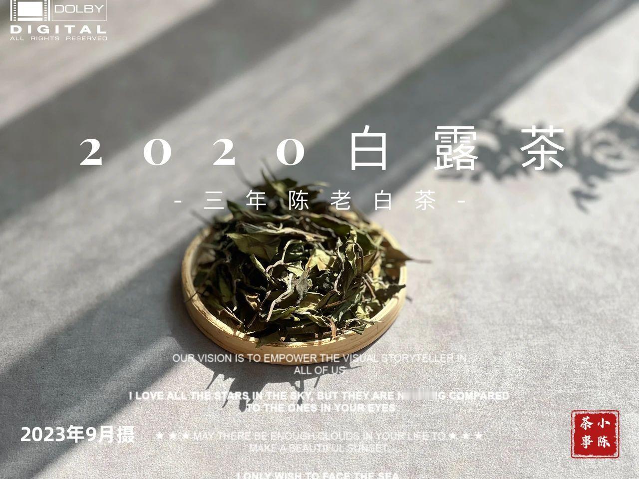 泡茶之前，如何将盖碗和公道杯“摆正”？
泡茶前，正确摆放盖碗和公道杯是关键。
首