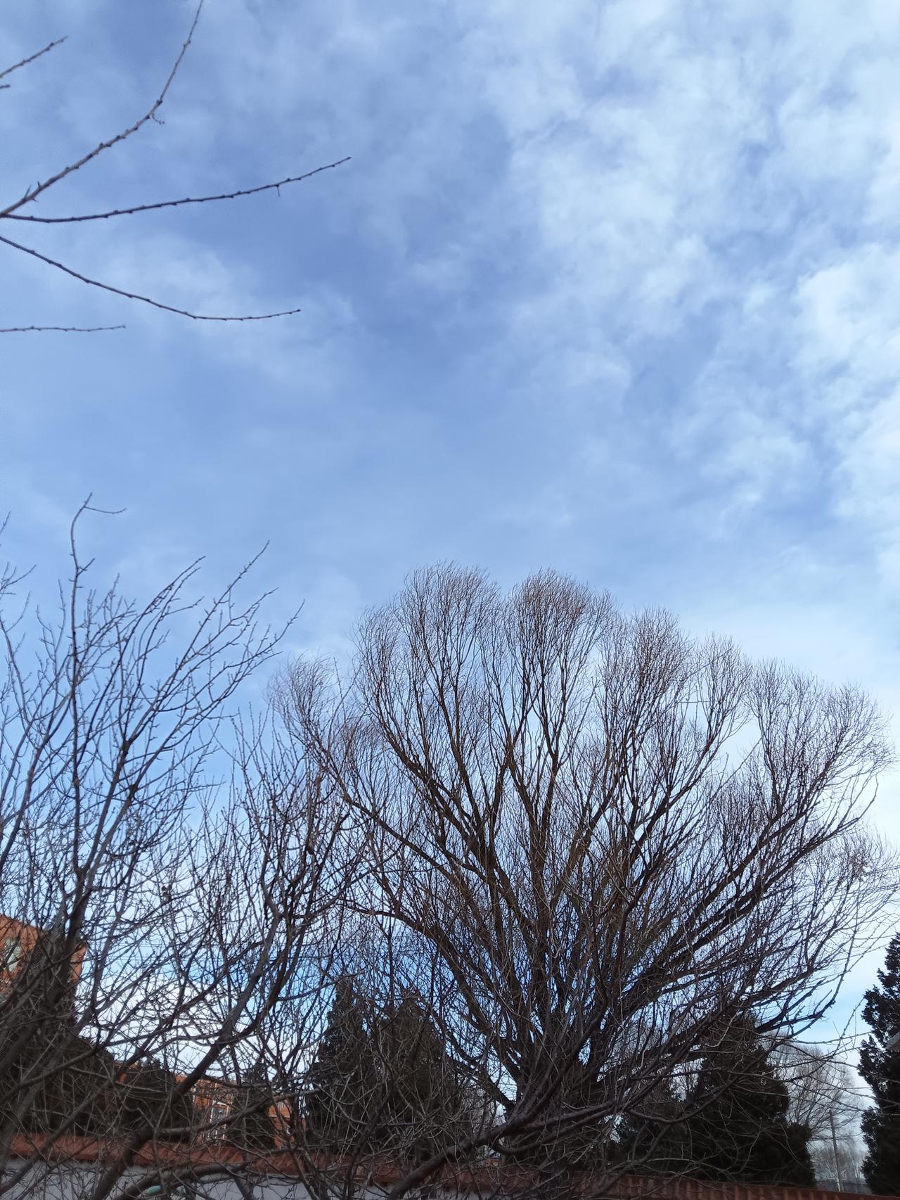 和大姑子或小姑子好不好相处，真是因人而异。我觉得关键得把握好相处的度。
别过多掺