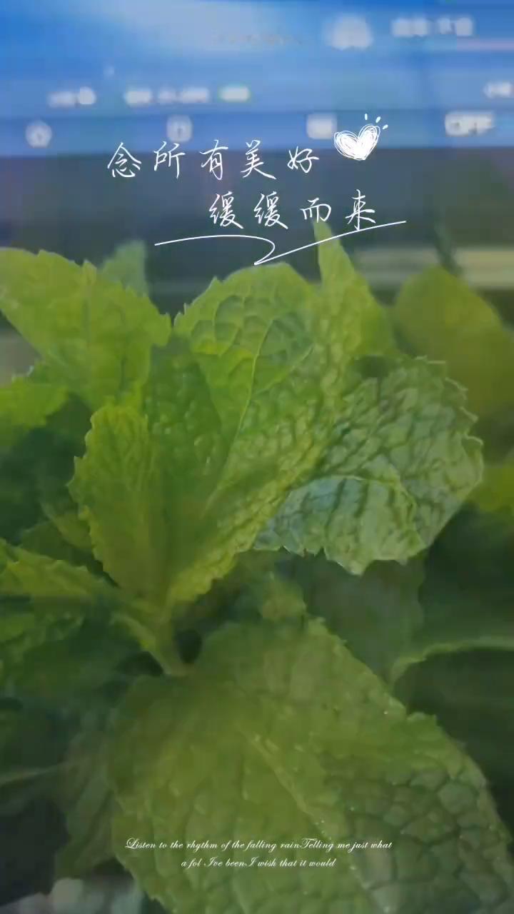 念所有美好缓缓而来。