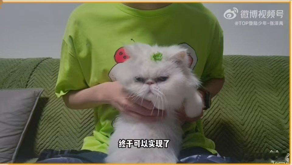 网友科幻乐园偶遇张泽禹  救命！在科幻乐园邂逅张泽禹，专注玩VR的他，比任何舞台