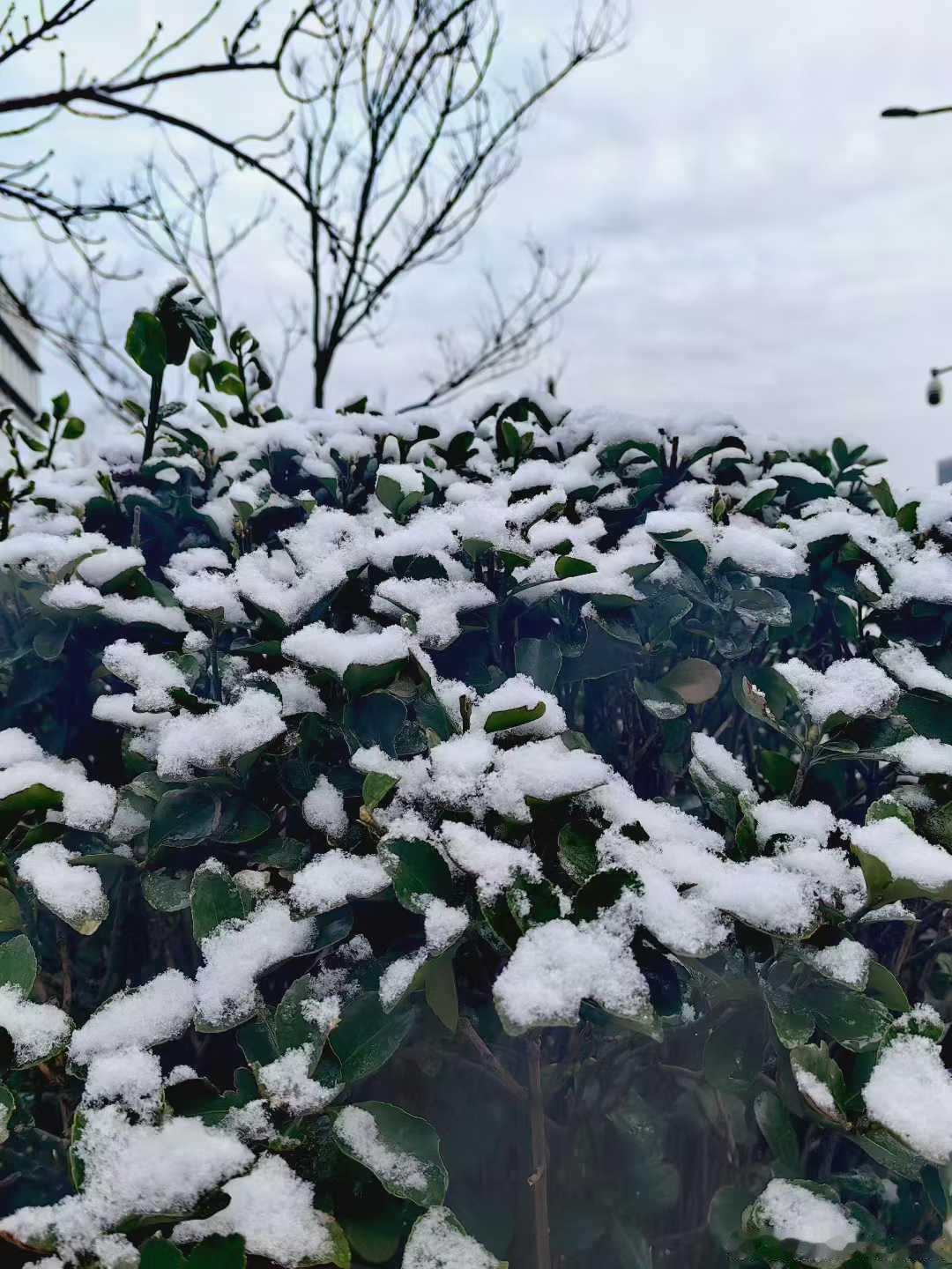 胖哥汽车频道北京下雪 快来给我分享分享你们的银装北京~ 雪后北京美成水墨画