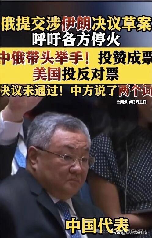 联合国投票彻底露馅！
停火救人草案，竟遭美直接否决！

3月12日，联合国安理会