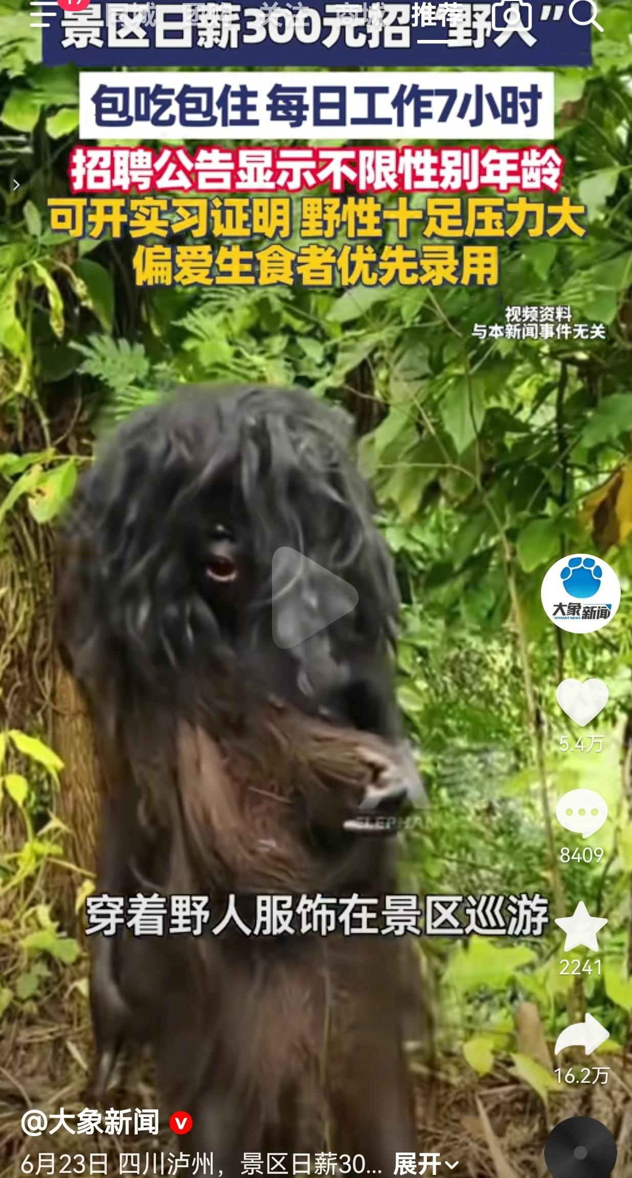 日结三百、包吃包住还能开实习证明，景区奇葩招工条件看着离谱，结果短短几天直接招满