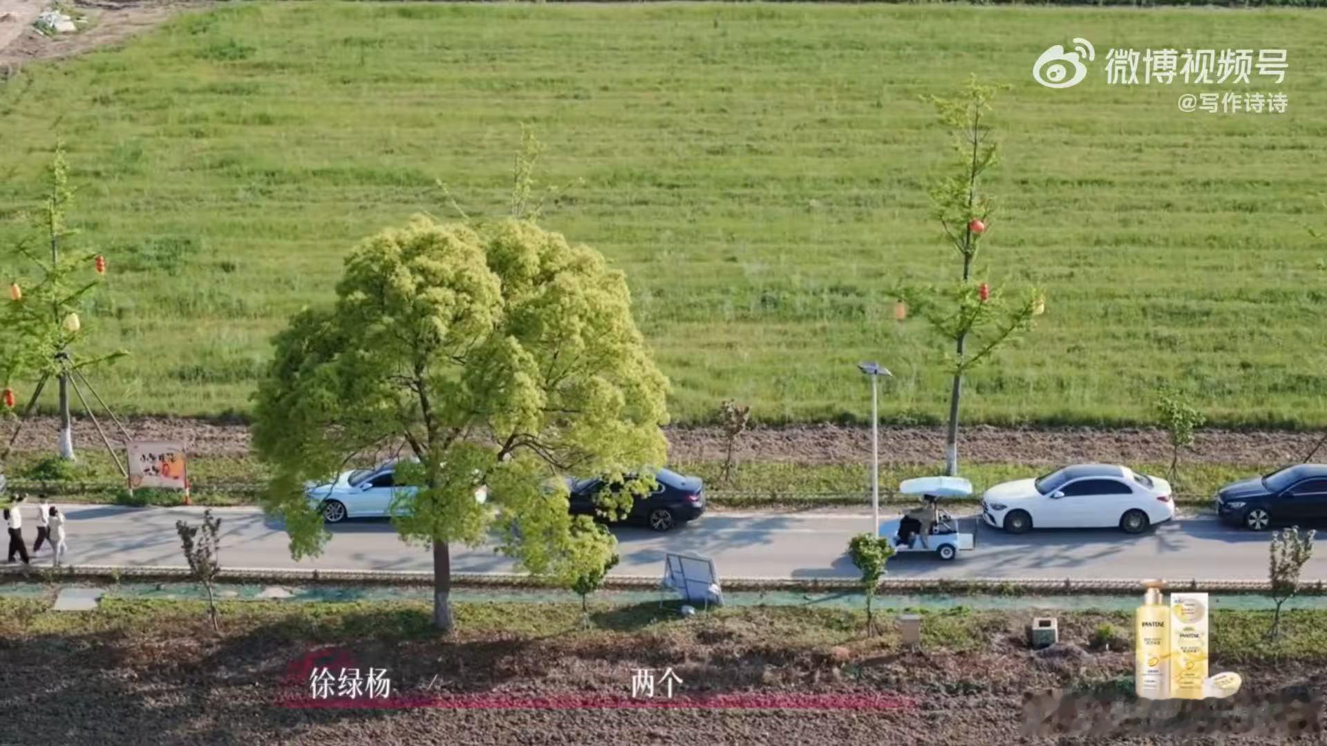柳柳周佑凌感情经历柳柳谈的都是年上半熟恋人5 轻松有分寸的互动是否更适合恋综的日