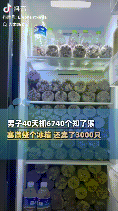 知了猴还得谢谢你！山东潍坊，一男子耗费了8年的光阴去追踪知了猴，记录它们的现身规