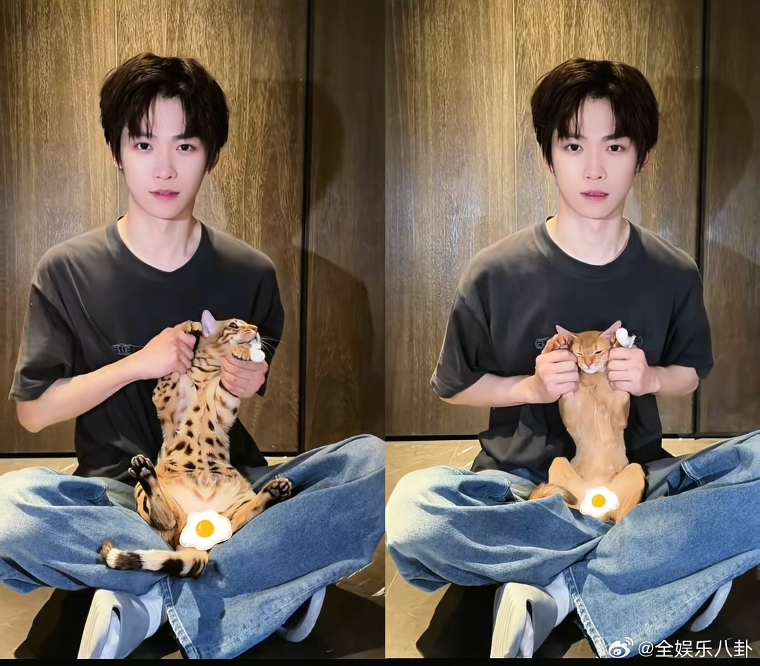 梓渝携小猫抽象一下梓渝携大鱼小十一抽象一下 梓渝的抽象还带上了大鱼小十一哈哈哈 