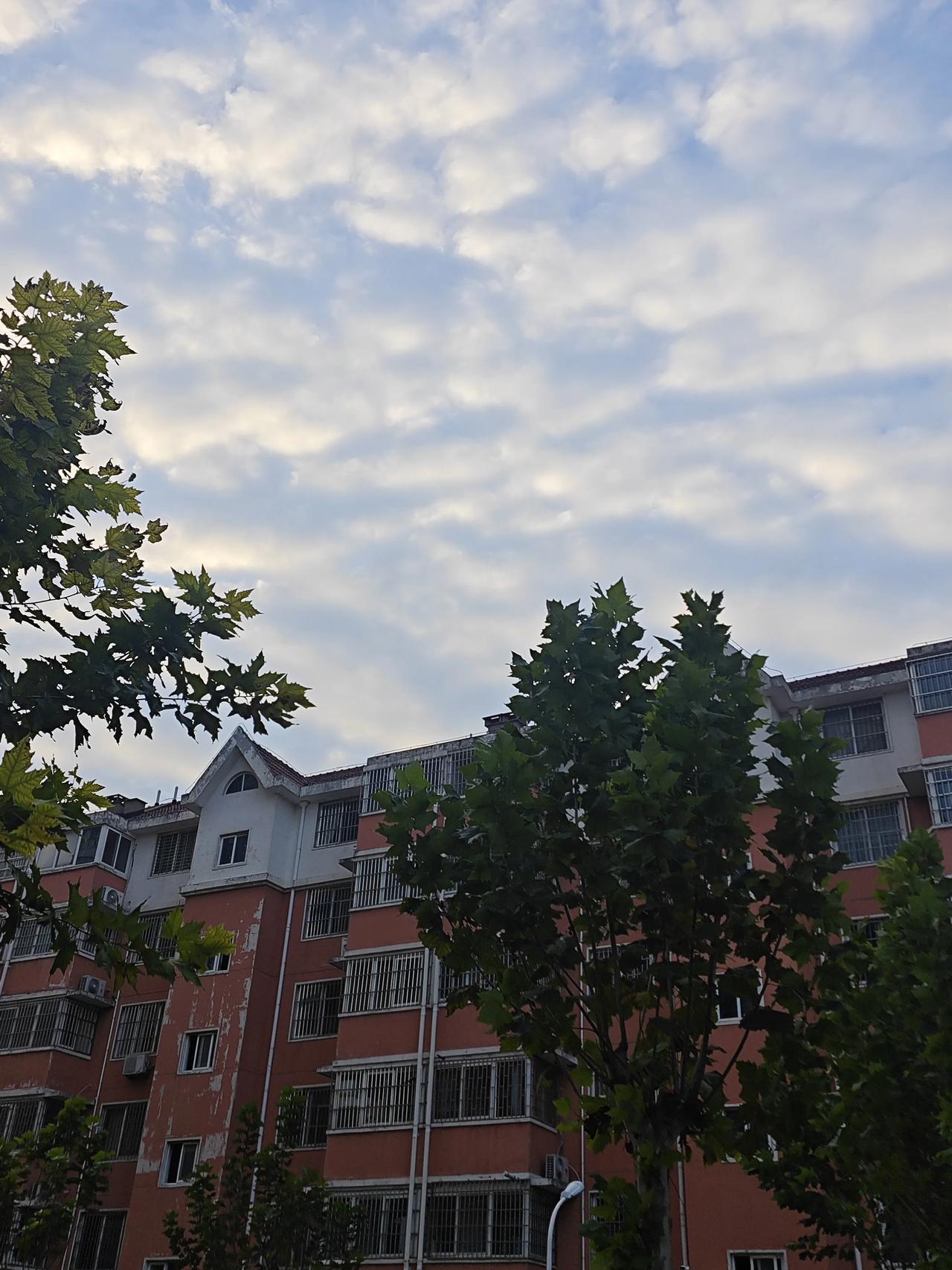 早～看看你手机里的天空