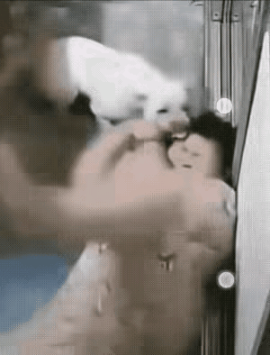 这回老惨了!
      女子没事找事，要和狗子套近乎。
     女子看到自家