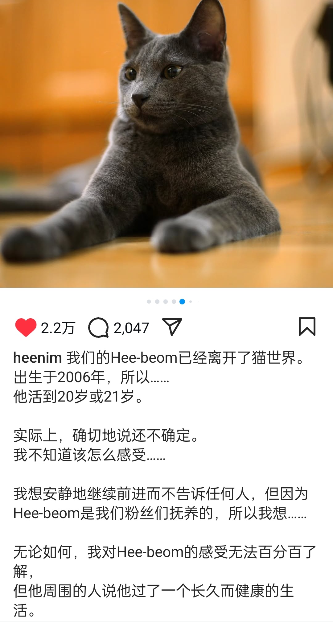 金希澈的猫猫希范去喵星了🥺我们真理一定会照顾好它的🥹 ​​​