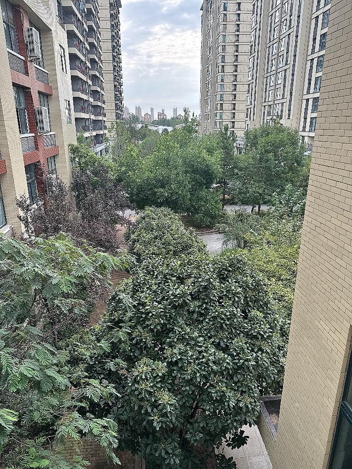 秋日生活简直太值得打卡了！
我打算找个周末去公园或湖边秋游踏青，五彩斑斓的秋叶就