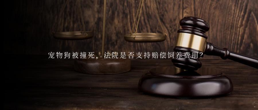 宠物狗被撞死，法院是否支持赔偿饲养费用？宠物犬在小区自家车库门前睡觉，被他人驾驶