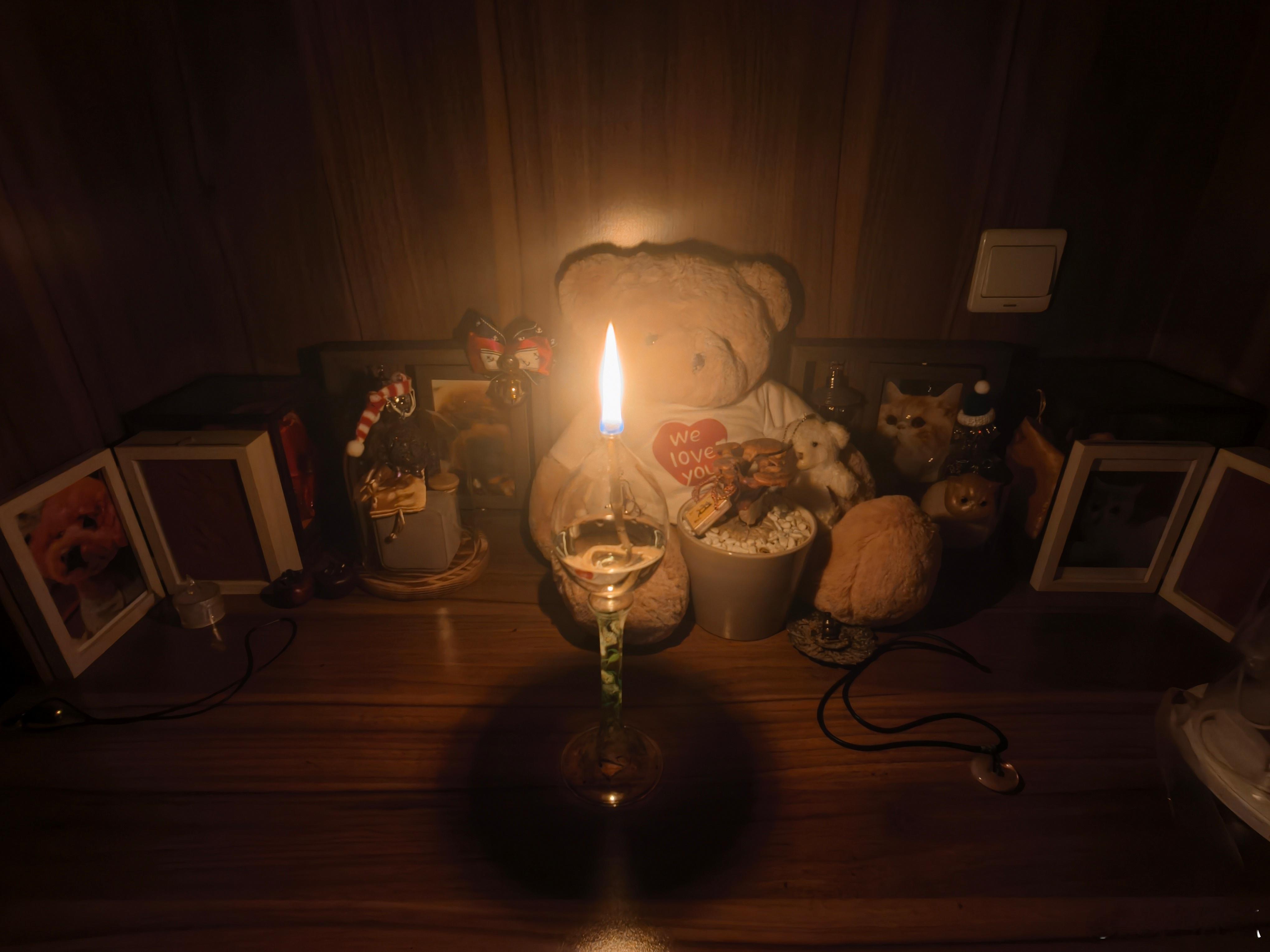 昨天去龙华寺给家中故去的猫狗烧了锡箔，今夜补点一盏酥油灯，愿它们往生极乐。[蜡烛