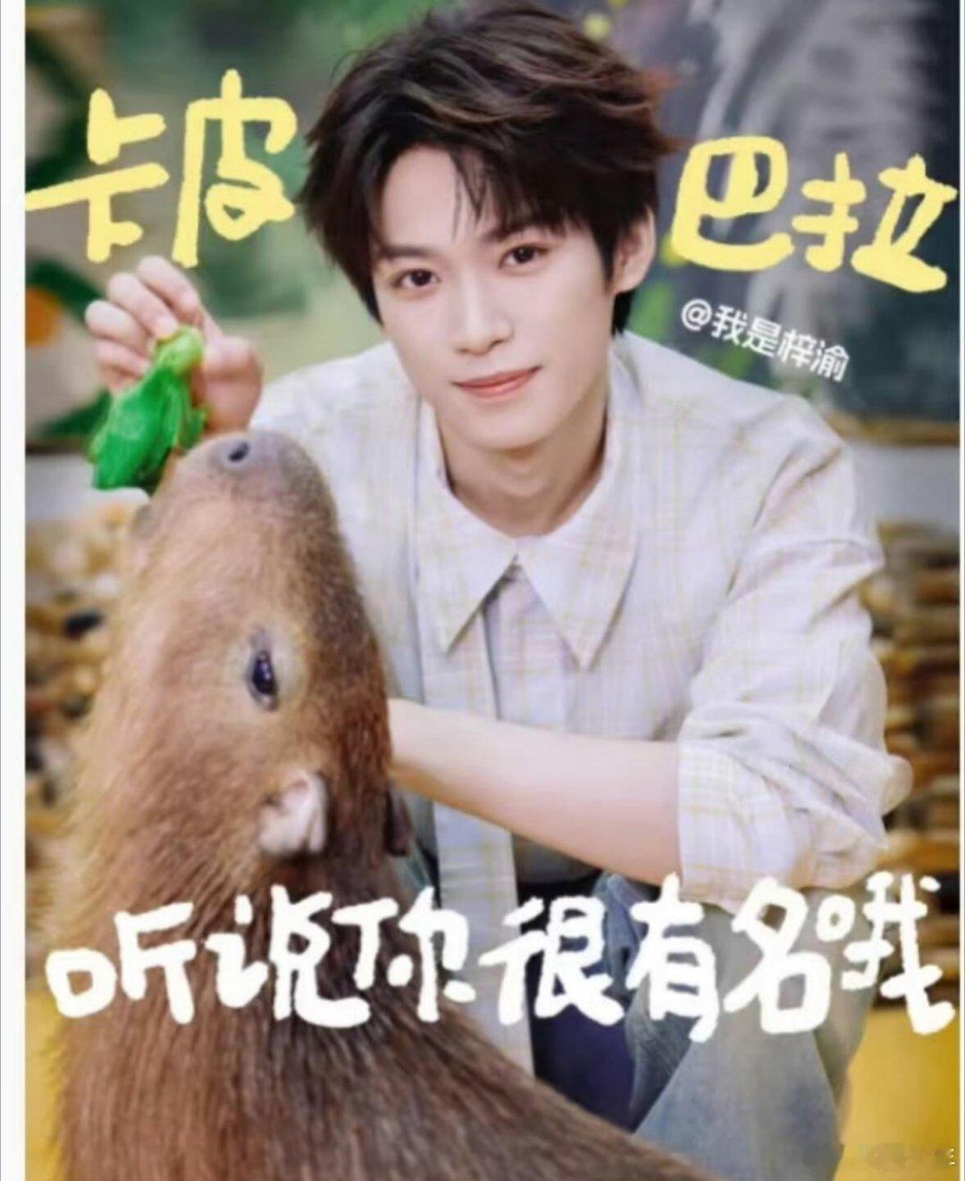 跟着梓渝趣体验梓渝萌宠卡皮巴拉 梓渝和卡皮巴拉的适配度根本不用问！少年的鲜活元气
