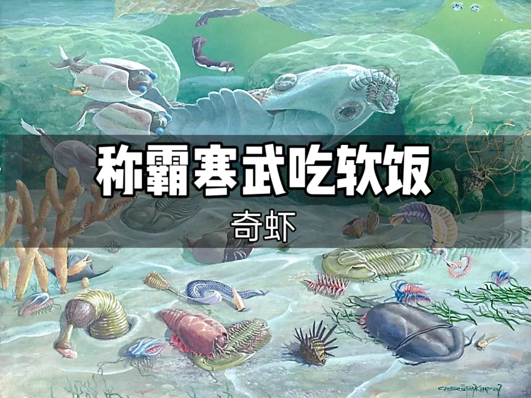 奇虾— 称霸寒武吃软饭