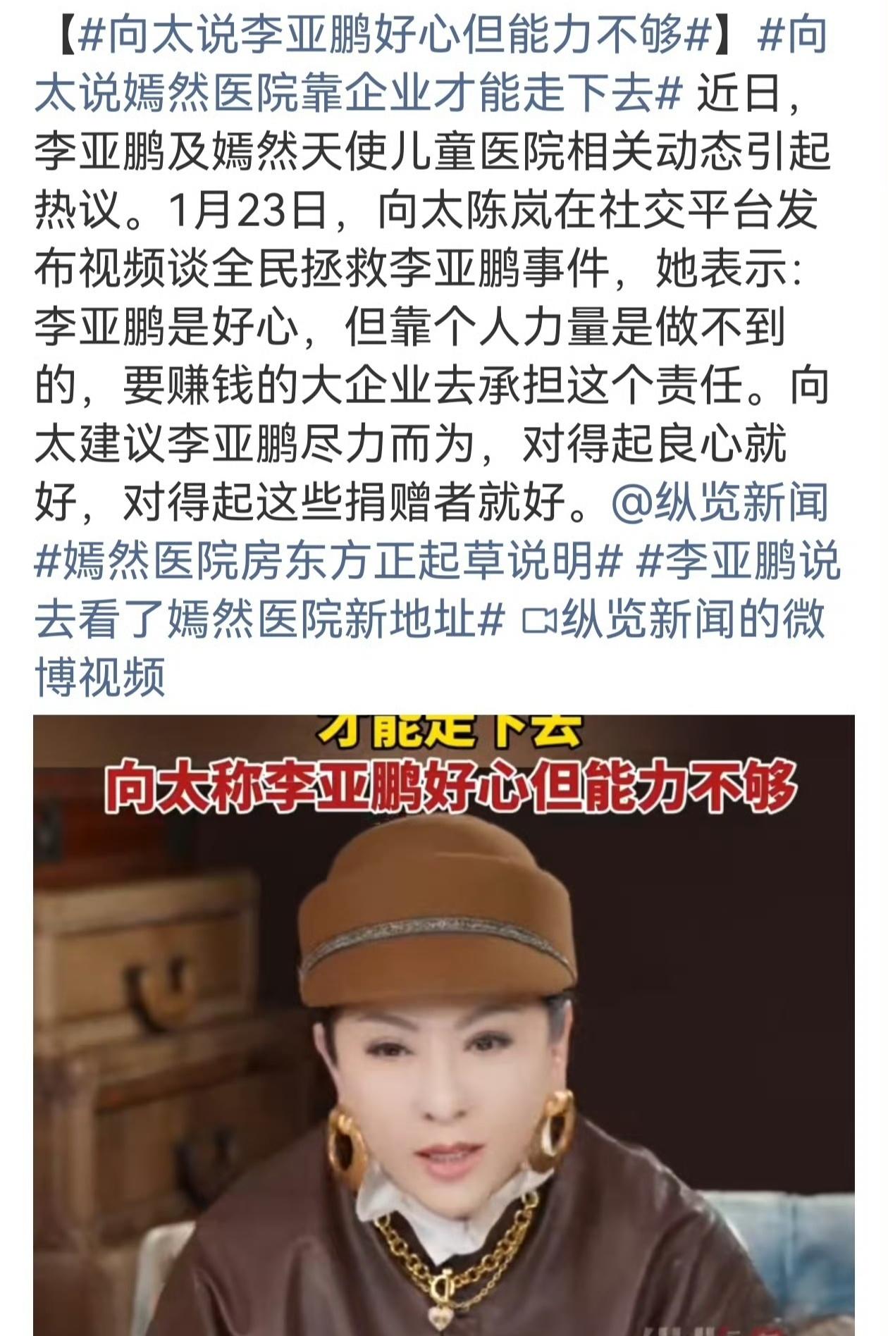 向太陈岚在评价李亚鹏的慈善事业时，既高度肯定其初心与个人品质，也直言其运营能力不