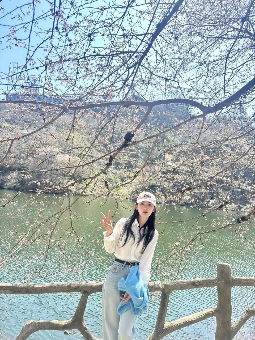 军师们：这种怎么追