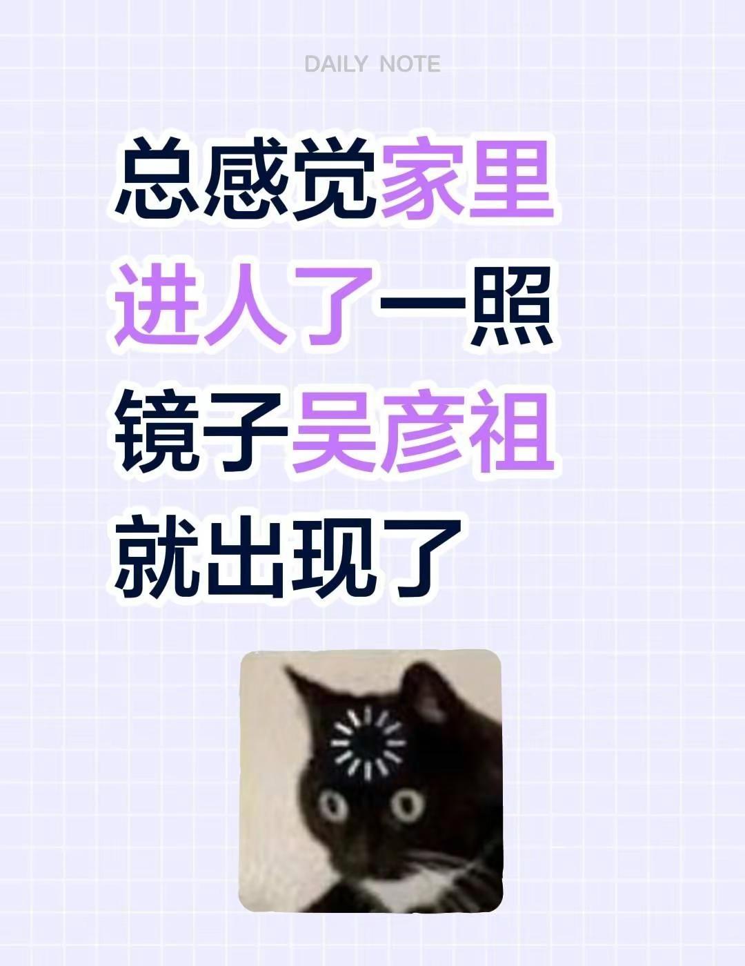 总感觉家里进人了一照镜子吴彦祖就出现了模仿吴彦祖 家里的镜子 彭于晏自己照镜子的