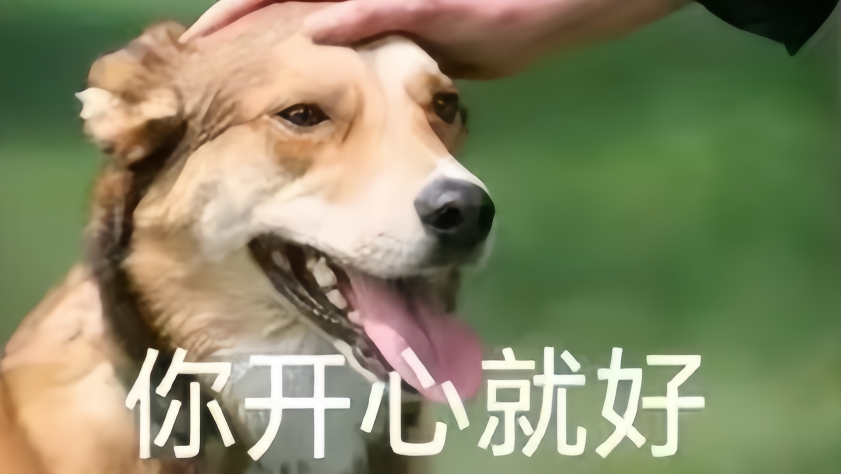 我只听关晓彤说戳你心窝子了 别来和我喊拉黑你纯该 ​​​