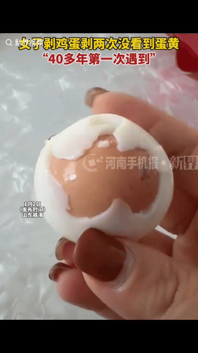 “解释不清了！”近日山东威海，女子想煮鸡蛋吃，没想到，鸡蛋剥开后蛋白后里面没有蛋