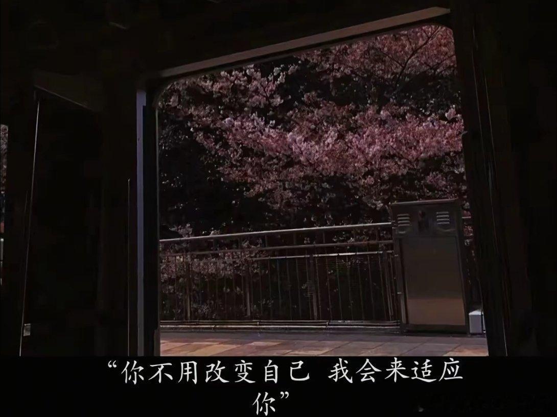 那些封神的安全感 钟爱这句——我会一直偏向于你 你可以反复向我确认 