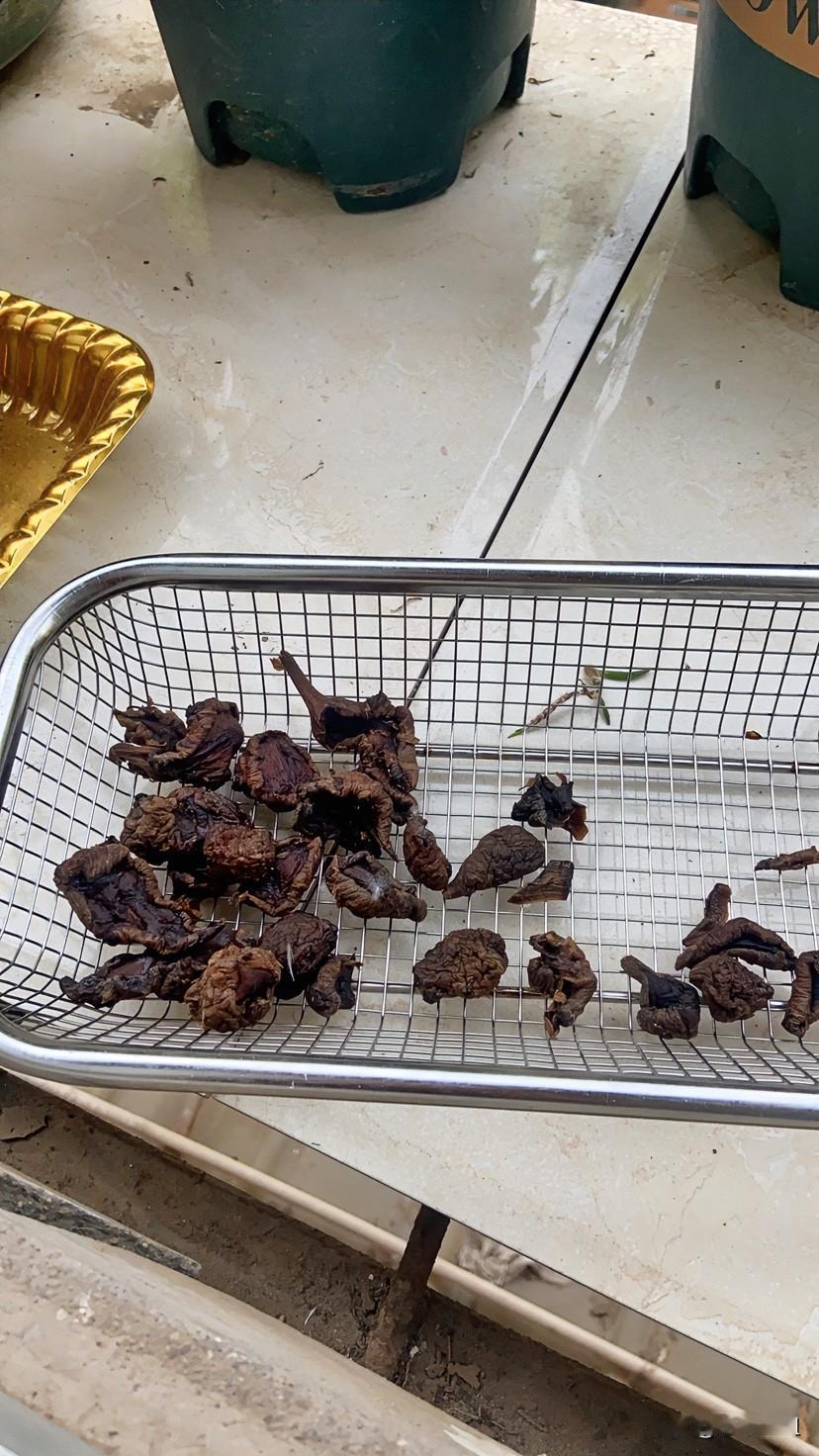 谁能认识这是什么？
别人误以为是黑木耳！
其实是我晾的咸菜干！
我家老头还挺爱吃