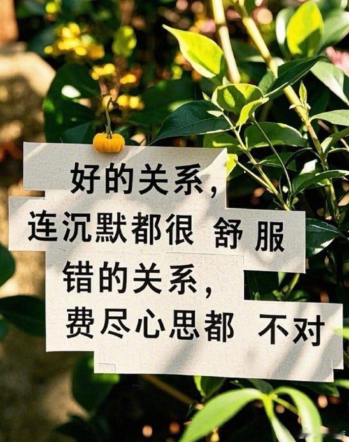 任何关系都是相互的，你给我珍惜，我还你值得；你给我距离，我还你分寸。亦感谢生活有
