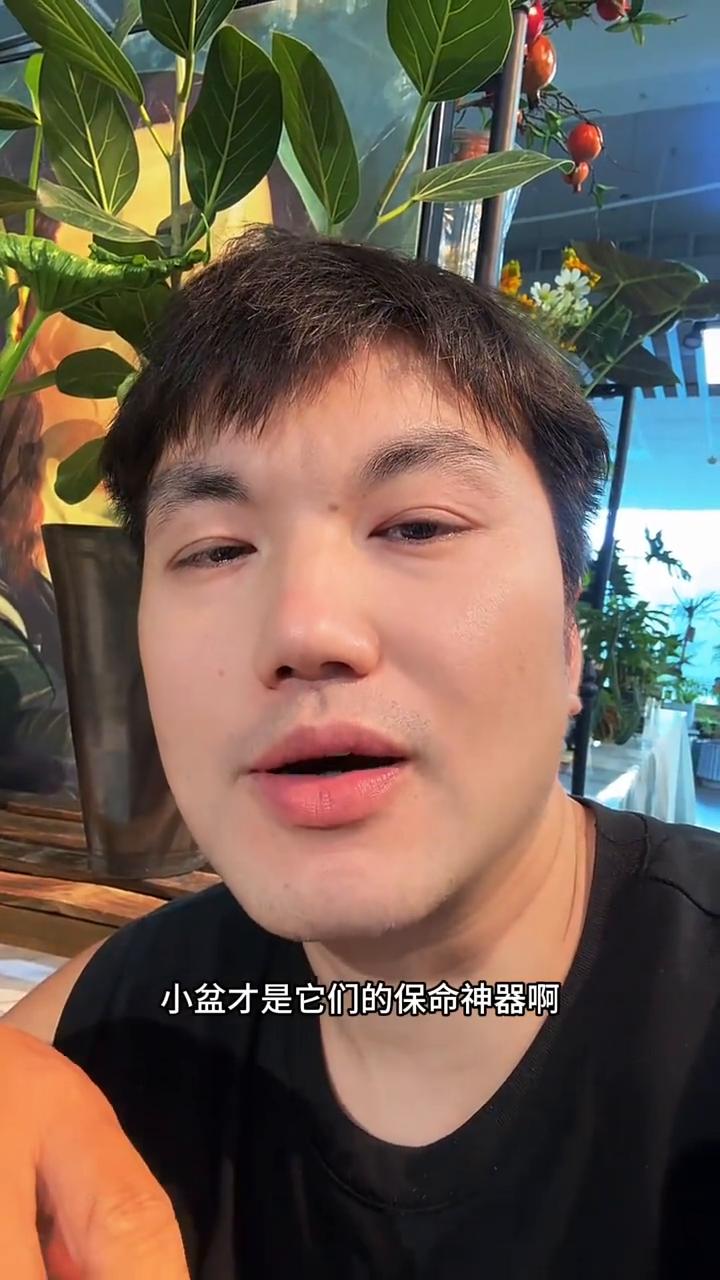 花盆越小越好养的四种花。
花盆越大死的越快的四种花，小盆才是它们的保命神器。不想