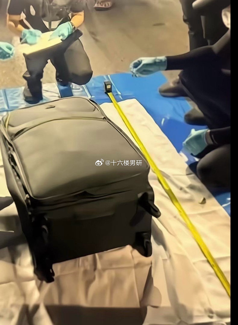 长厢厮守到藏箱尸手 