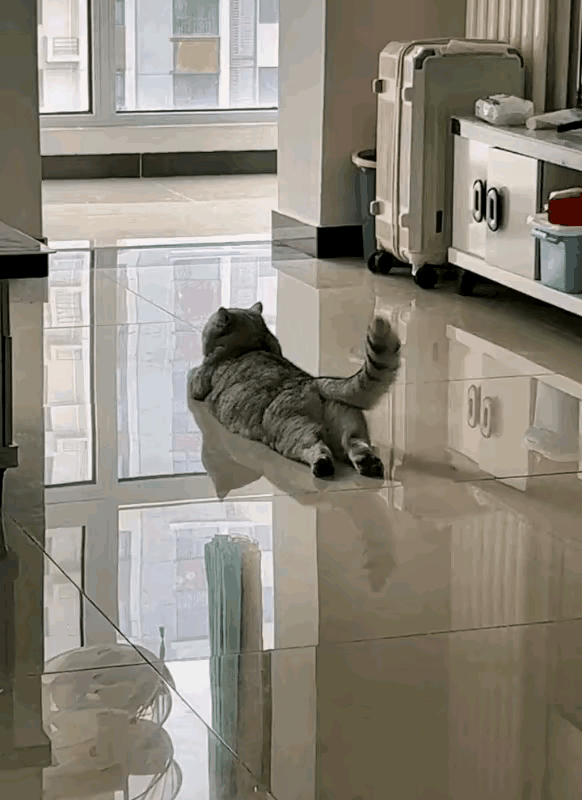 简直不要太可爱，这悠闲的样子太让人羡慕嫉妒恨了[笑哭][笑哭]